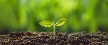 Nền tảng phát triển