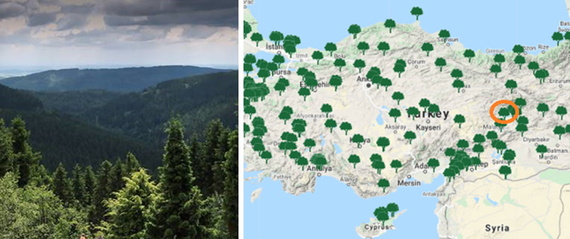Bản đồ có đánh dấu địa điểm trồng rừng ở Elazig